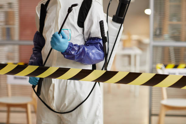 Professional Sewage Cleanup technician working in Maribel, WI